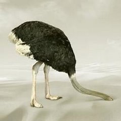 [avestruz1][1].JPG]